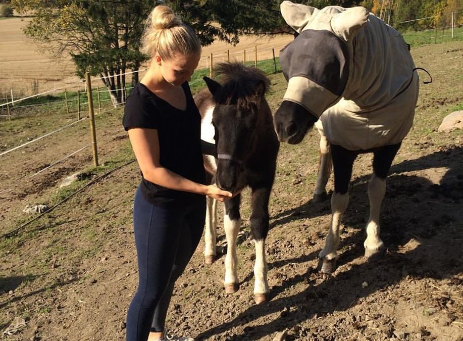 Norrja fra Thorsetgården