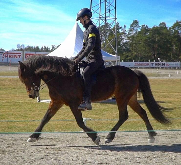 Glaður frá Árgerði